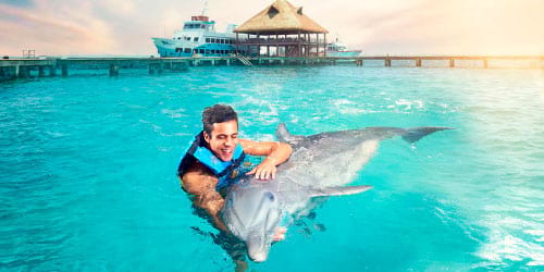 Swim with Dolphins Tour Image