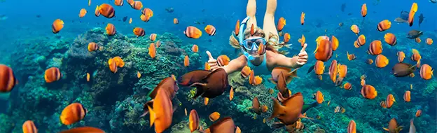 vibrant coral reefs isla mujeres snorkeling and diving