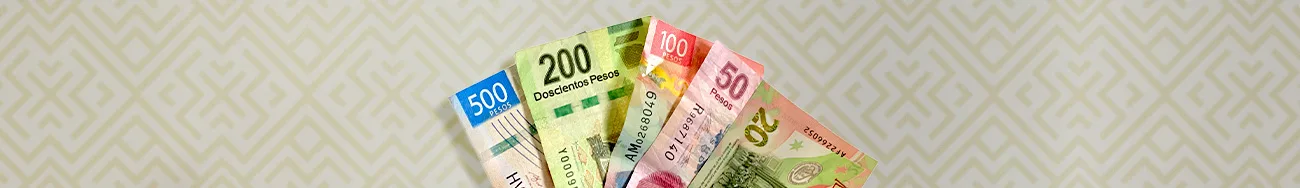 Hand Holding Denominations of Mexican Pesos