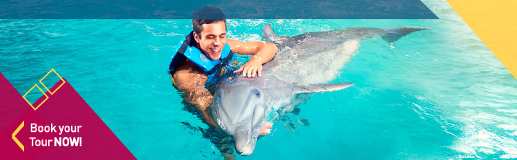 Swim with Dolphins Tour