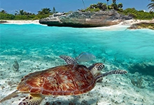 The Cheapest Shuttle in Cancun