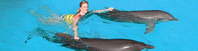 Swim with Dolphins in Cancun | Happy Shuttle Cancun