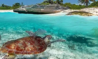 Most booked hotel transportation in Akumal from Cancun Airport – private and luxury transfers